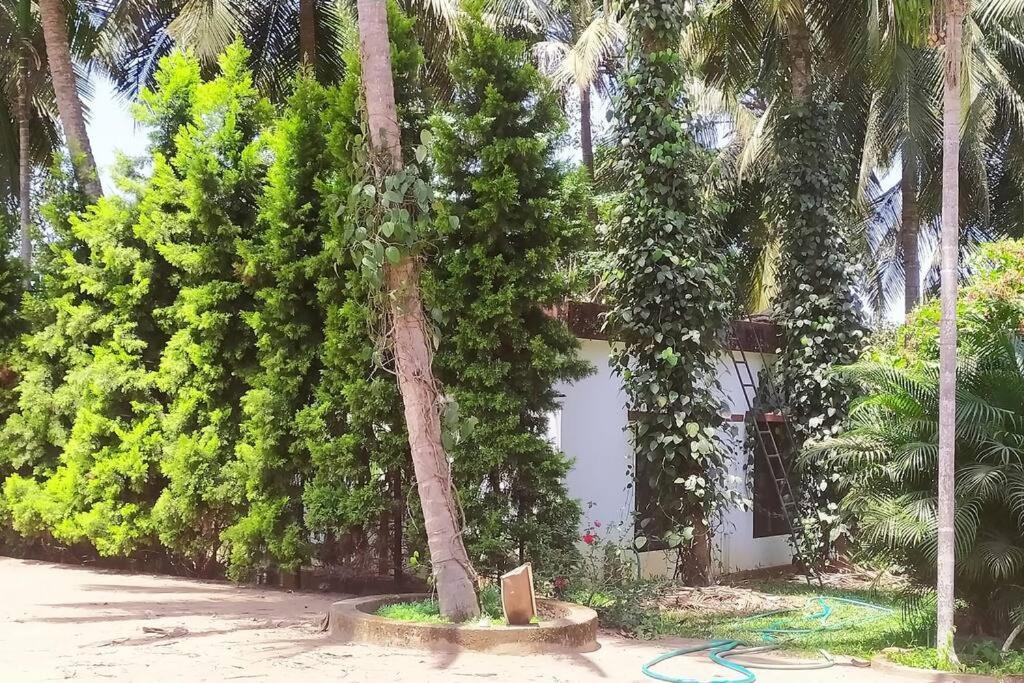 Runnin Airport - Homestay Gurpur 외부 사진
